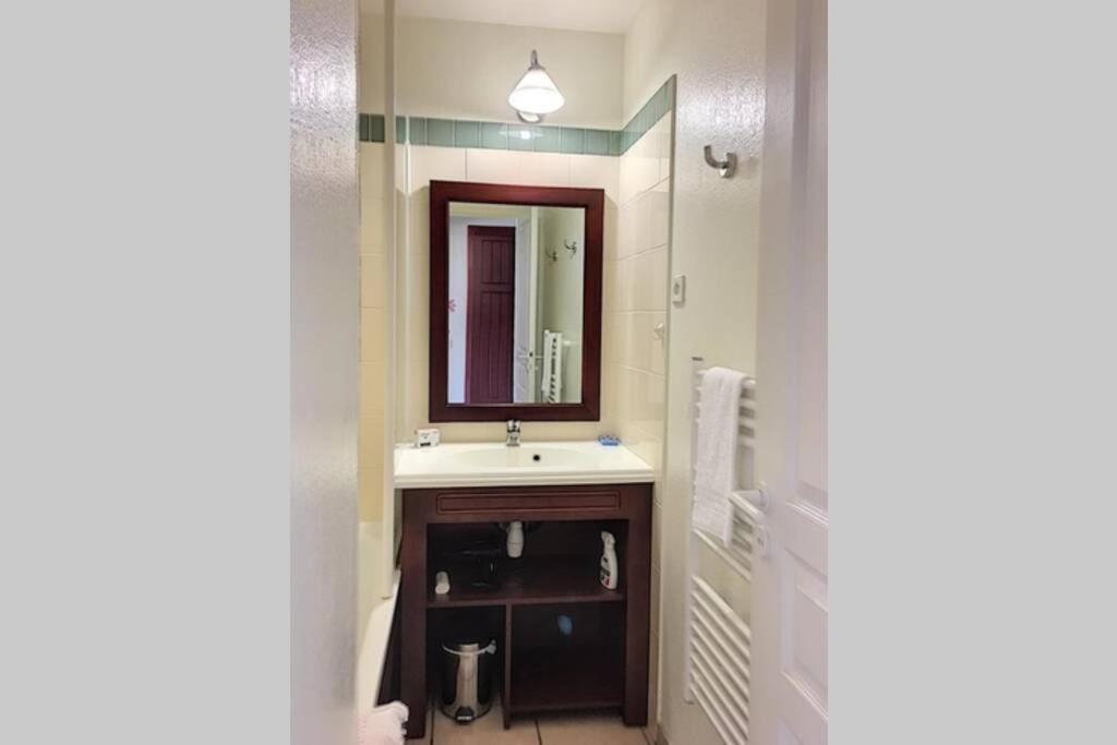 Residence De Vacances Domaine De Gascogne,Grand Appt 6 Personnes 42M2 بيسكاروس المظهر الخارجي الصورة